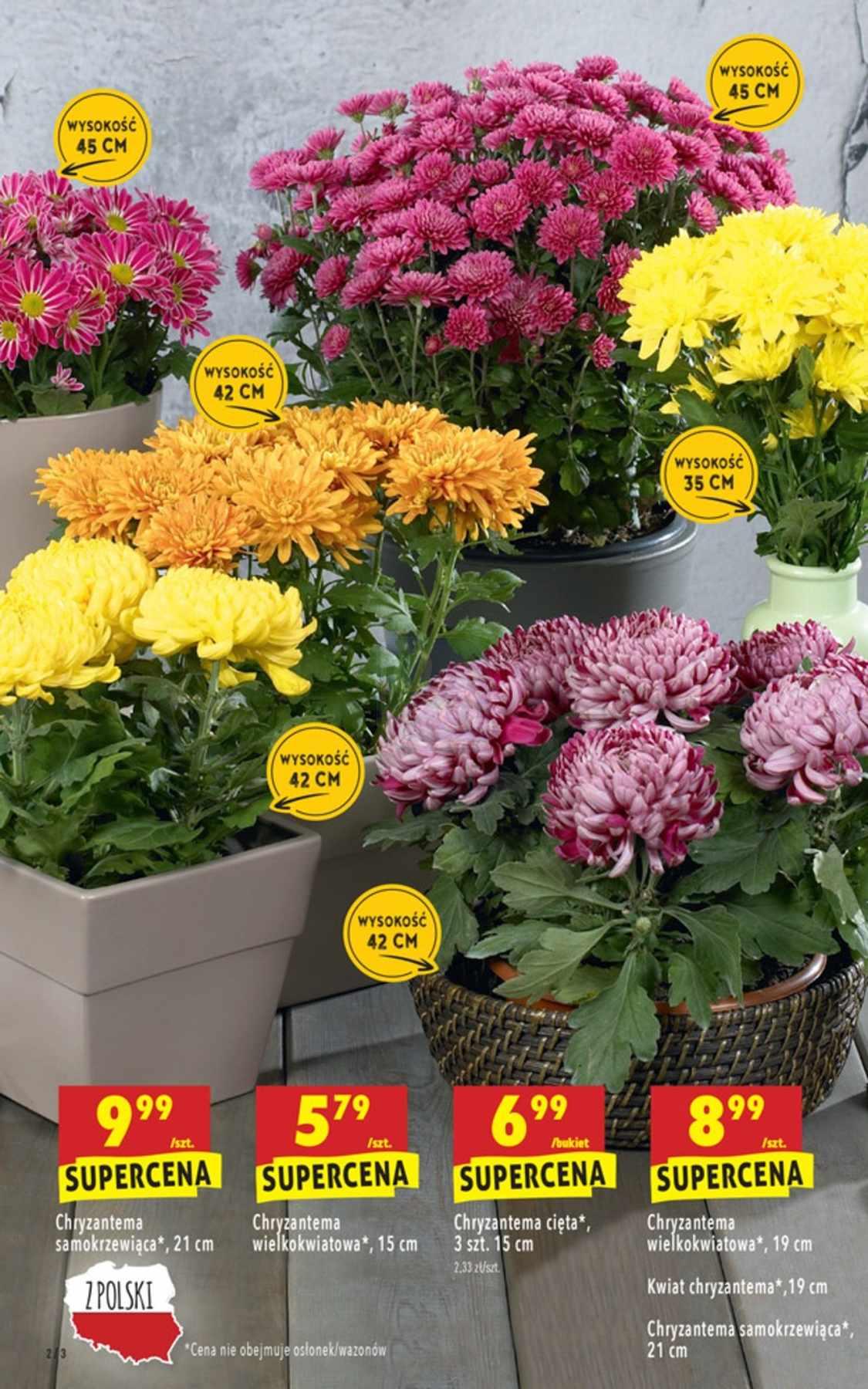 Gazetka promocyjna Biedronka str. 2