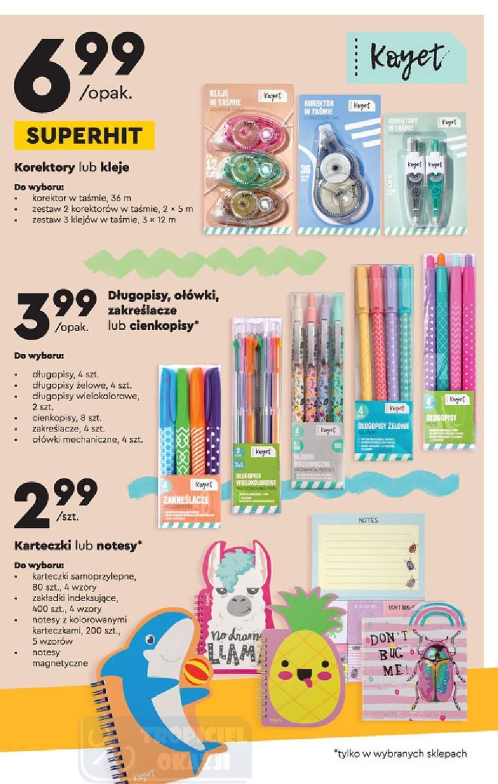 Gazetka promocyjna Biedronka str. 19