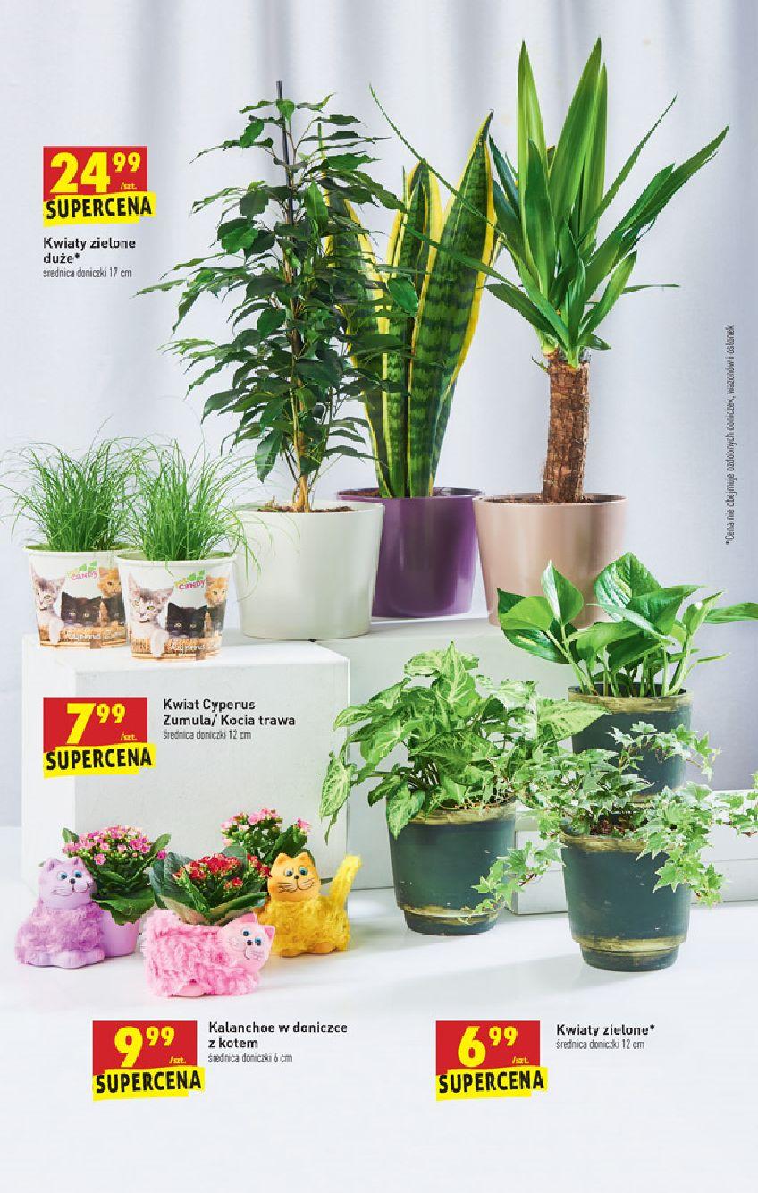 Gazetka promocyjna Biedronka str. 55