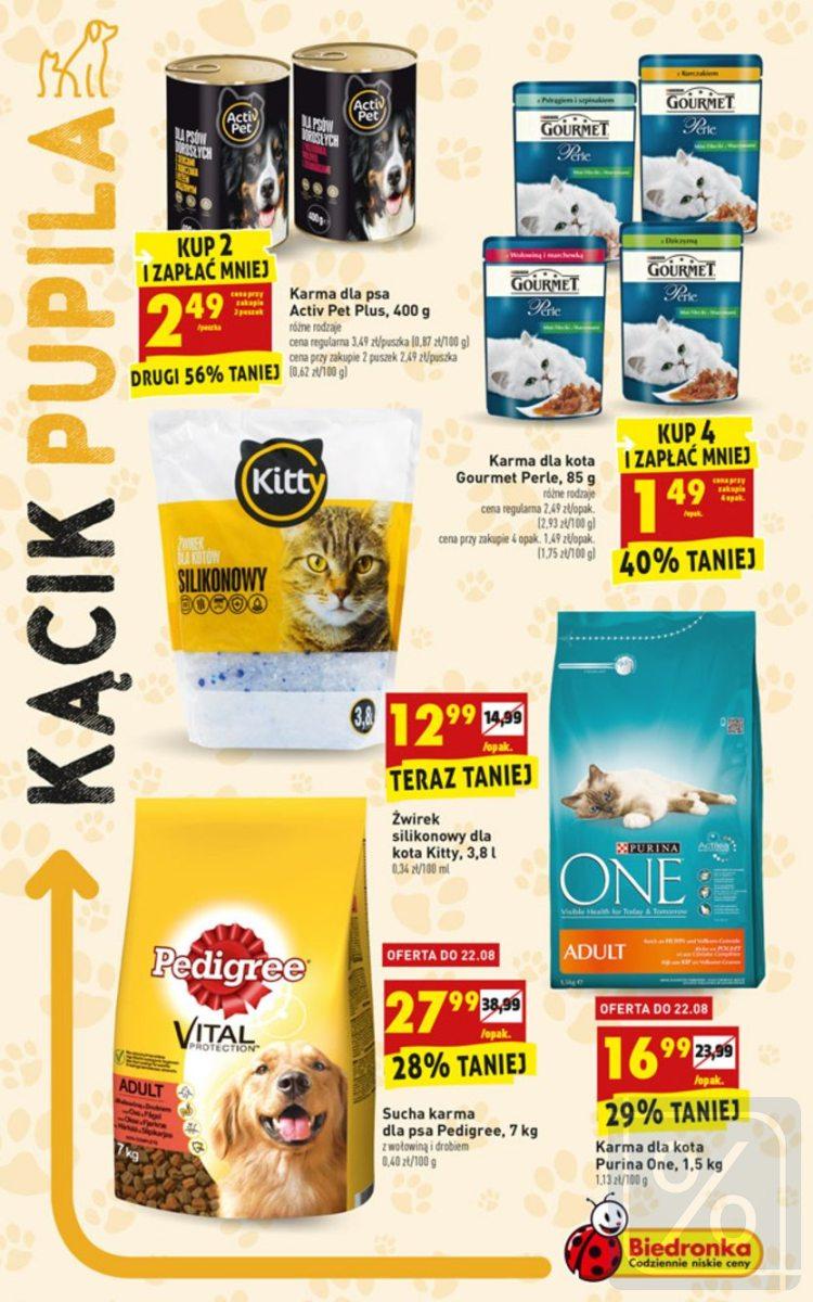 Gazetka promocyjna Biedronka str. 41