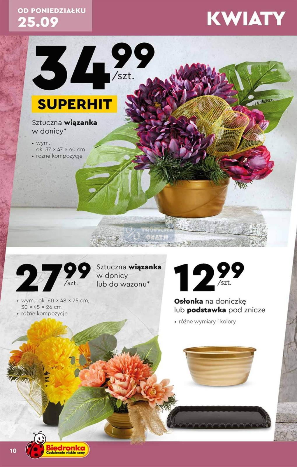 Gazetka promocyjna Biedronka str. 10