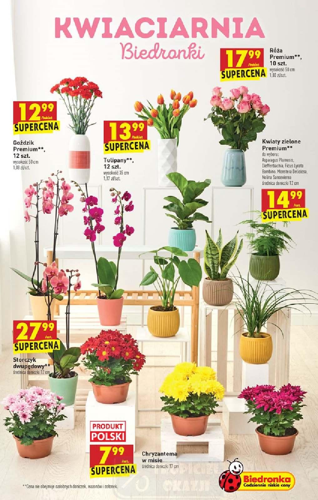 Gazetka promocyjna Biedronka str. 15