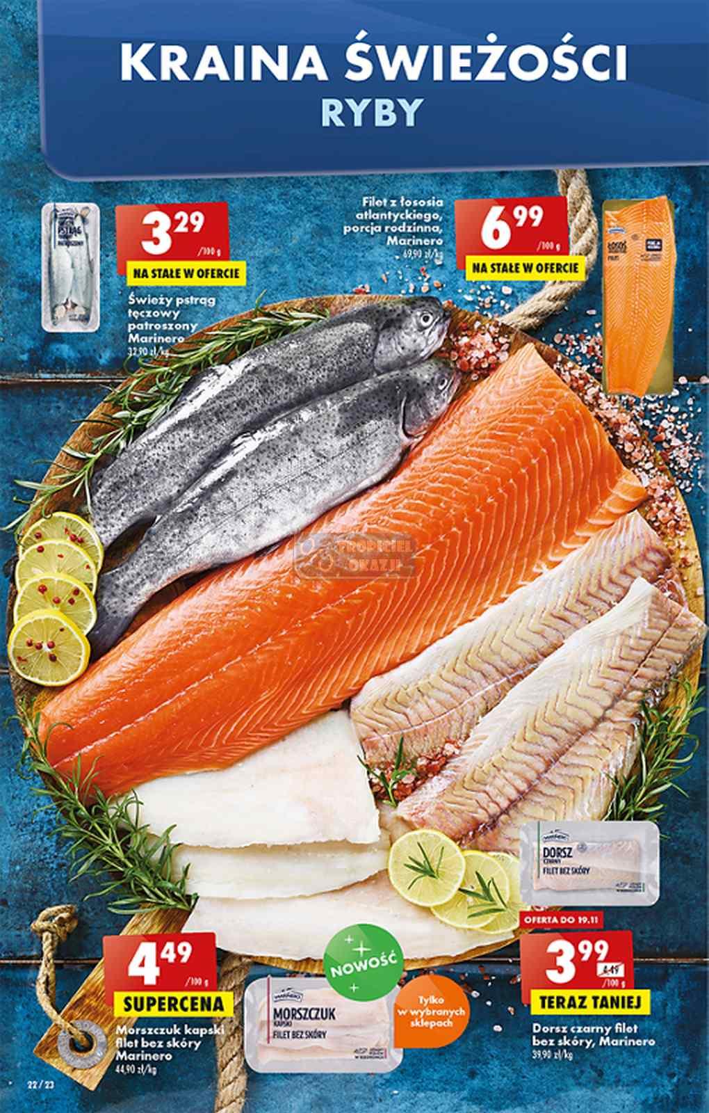 Gazetka promocyjna Biedronka str. 22