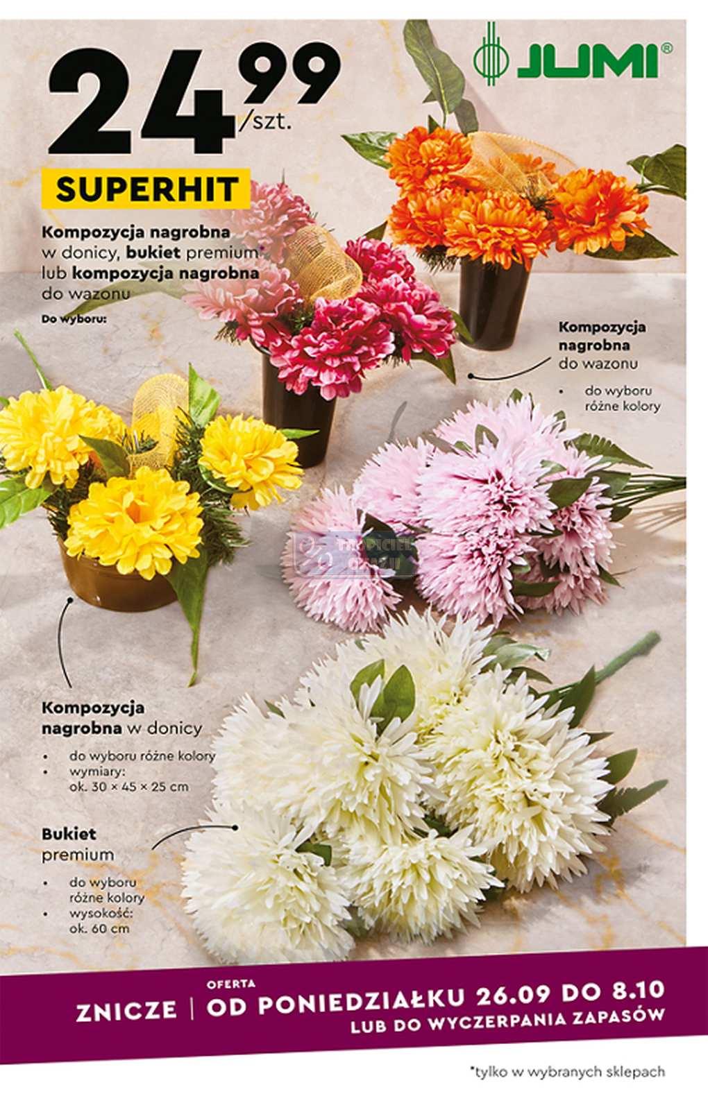 Gazetka promocyjna Biedronka str. 11