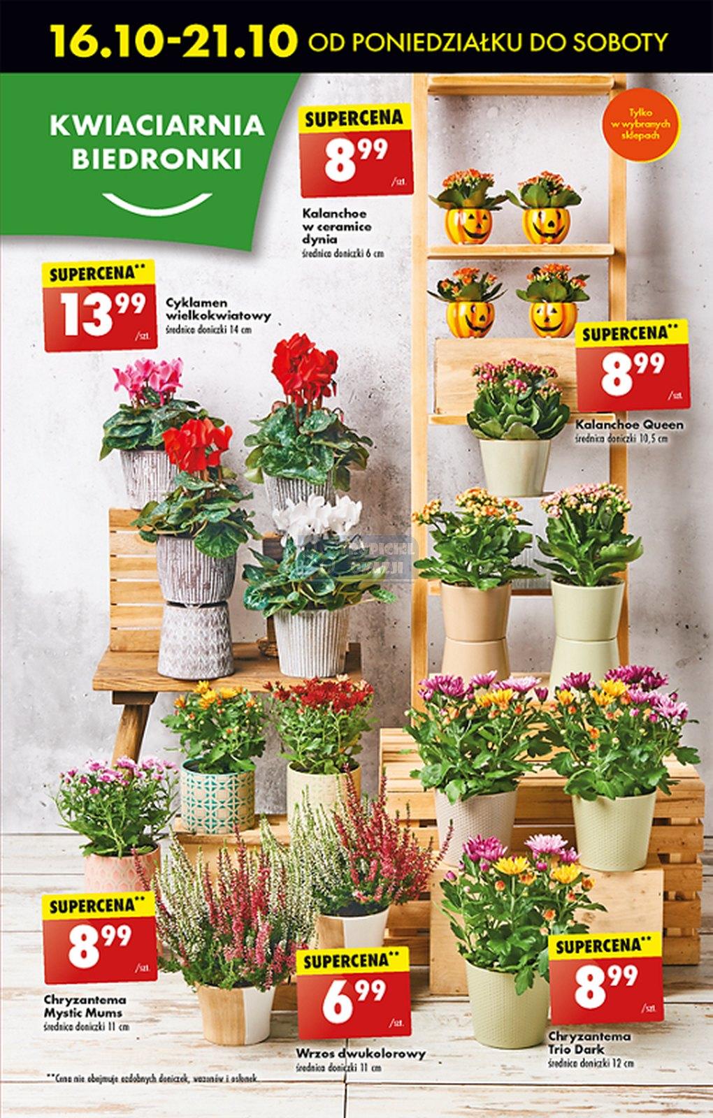 Gazetka promocyjna Biedronka str. 15