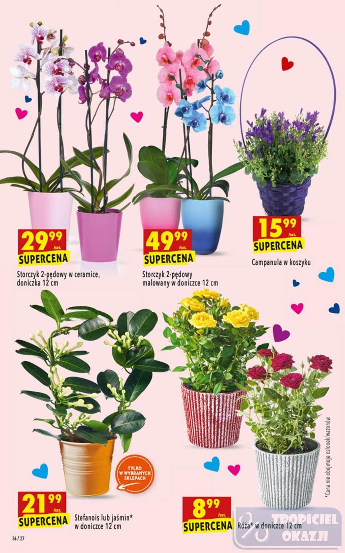 Gazetka promocyjna Biedronka str. 26