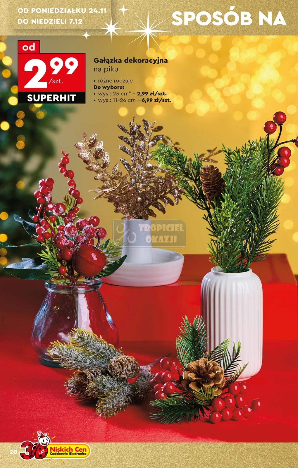 Gazetka promocyjna Biedronka str. 22