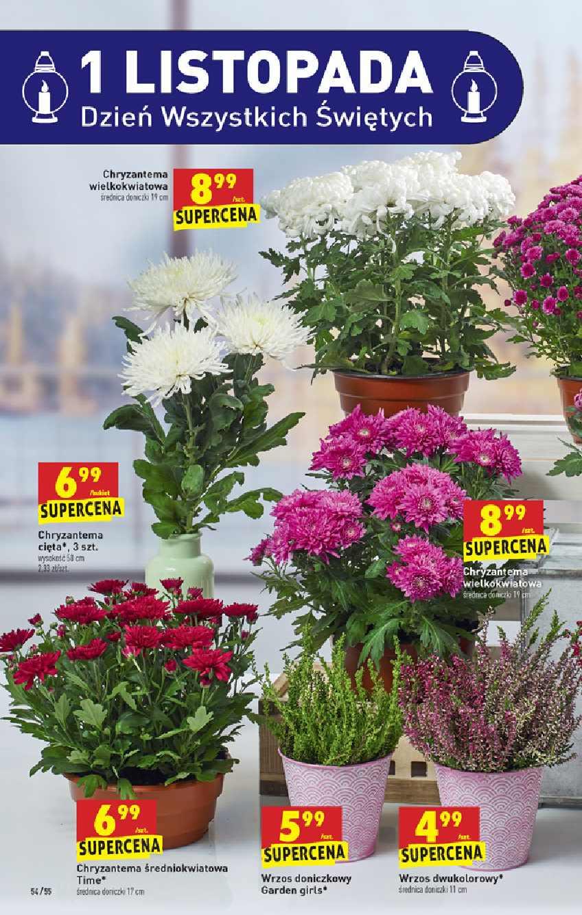 Gazetka promocyjna Biedronka str. 54