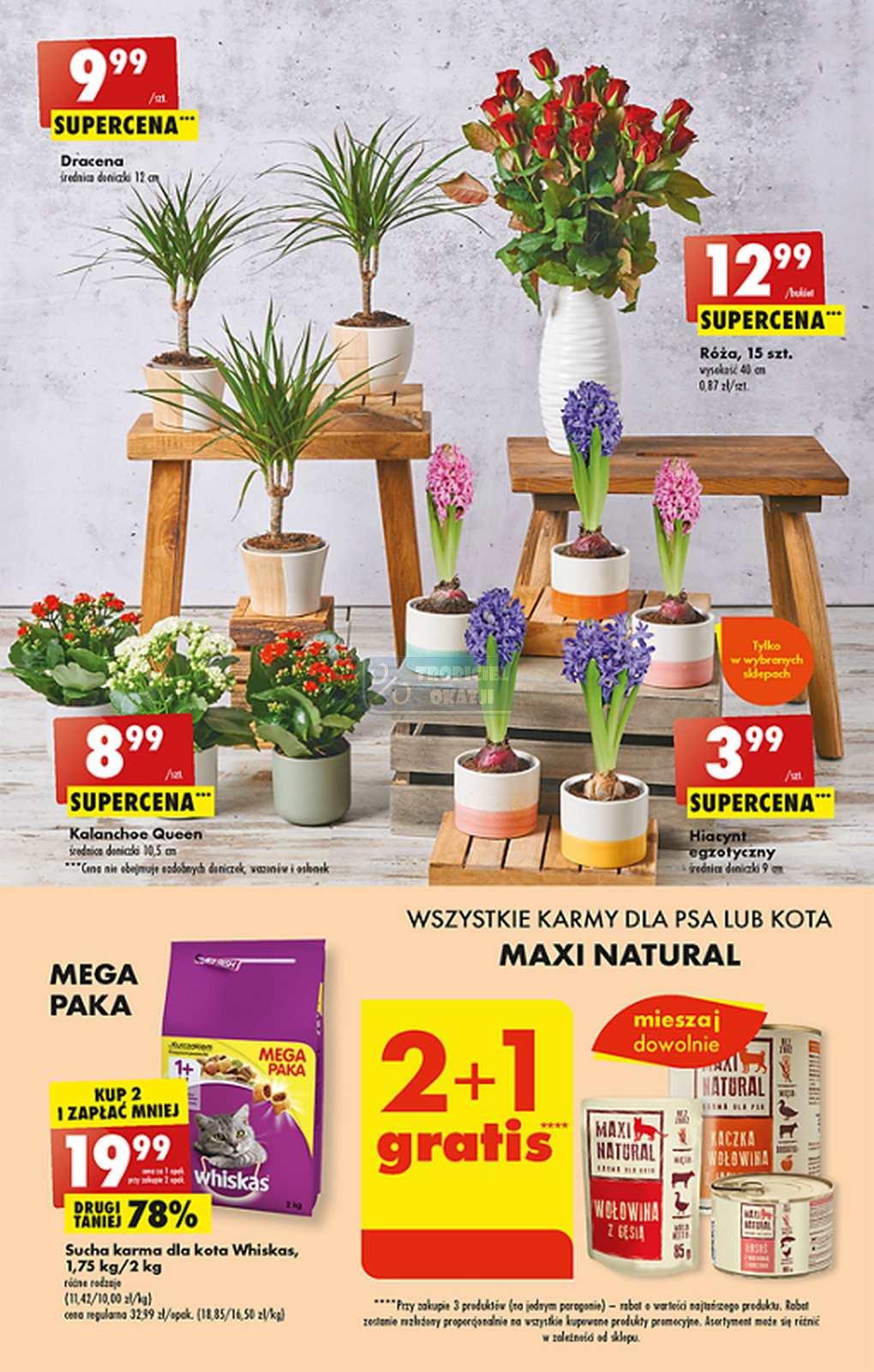 Gazetka promocyjna Biedronka str. 47