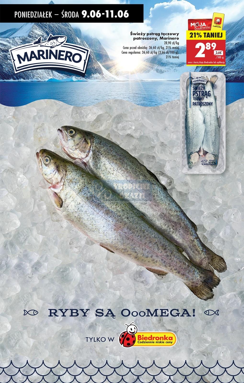 Gazetka promocyjna Biedronka str. 62