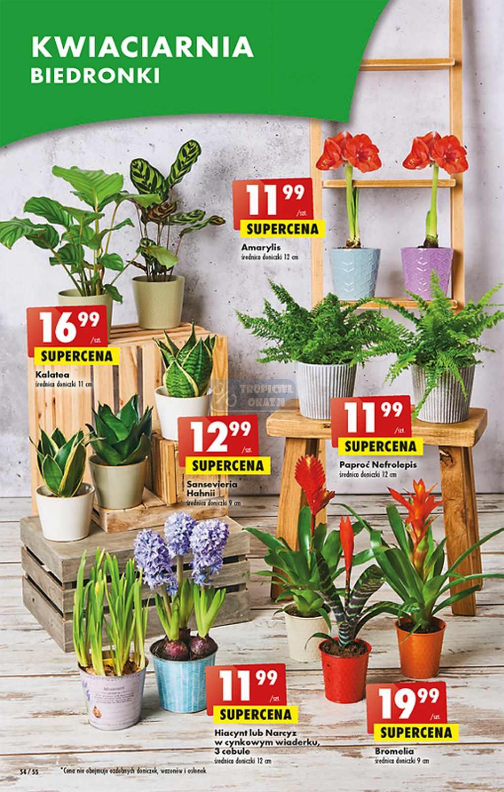 Gazetka promocyjna Biedronka str. 54