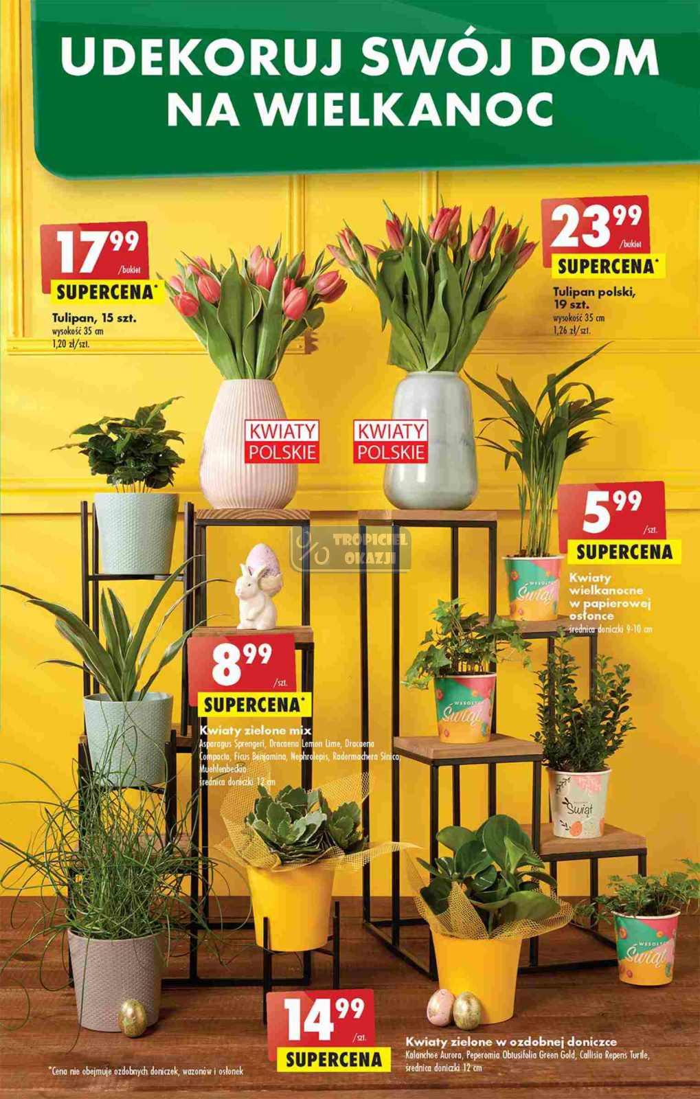 Gazetka promocyjna Biedronka str. 60