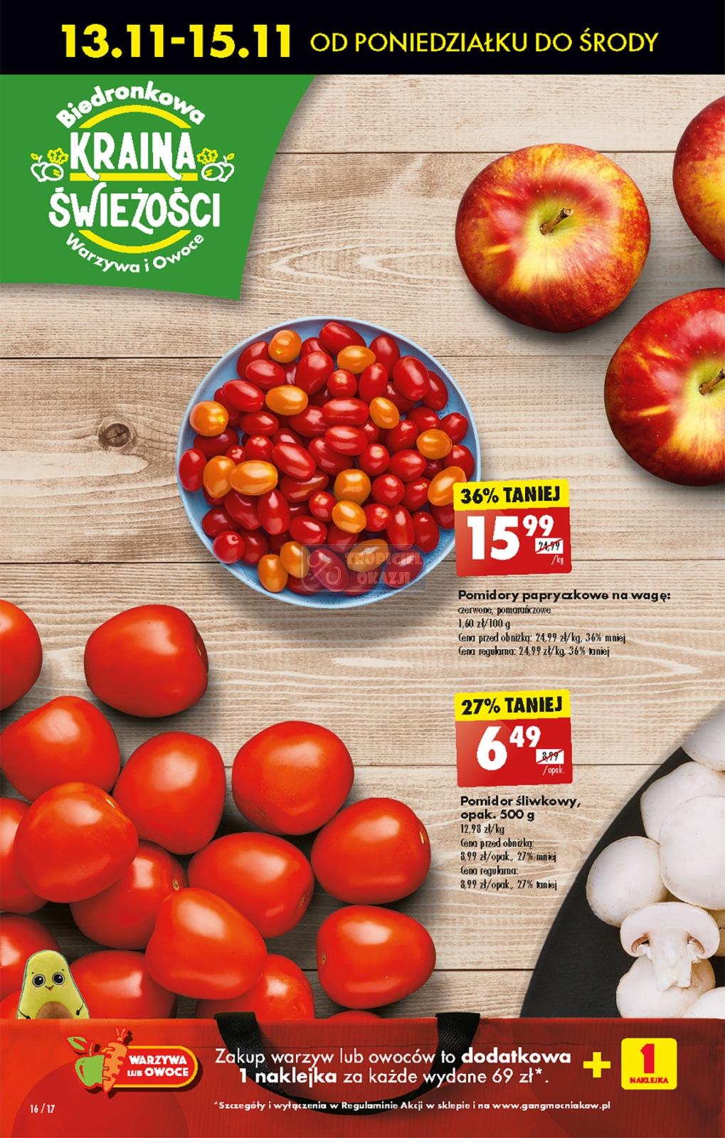 Gazetka promocyjna Biedronka str. 15