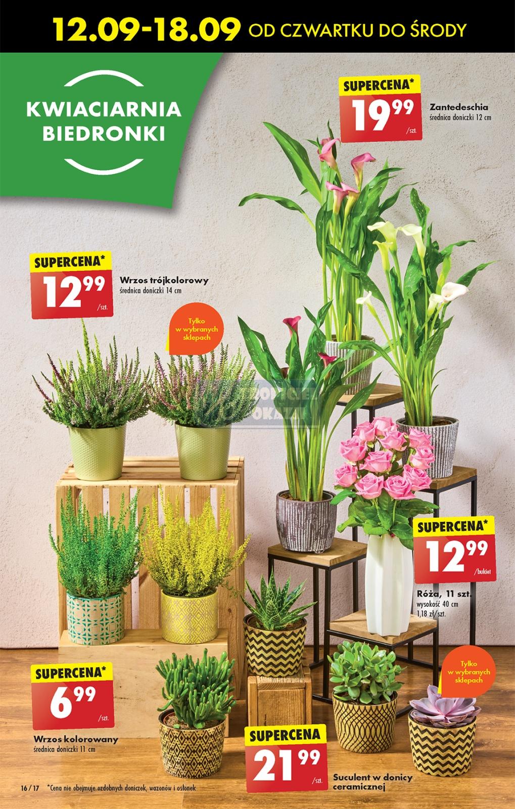 Gazetka promocyjna Biedronka str. 15