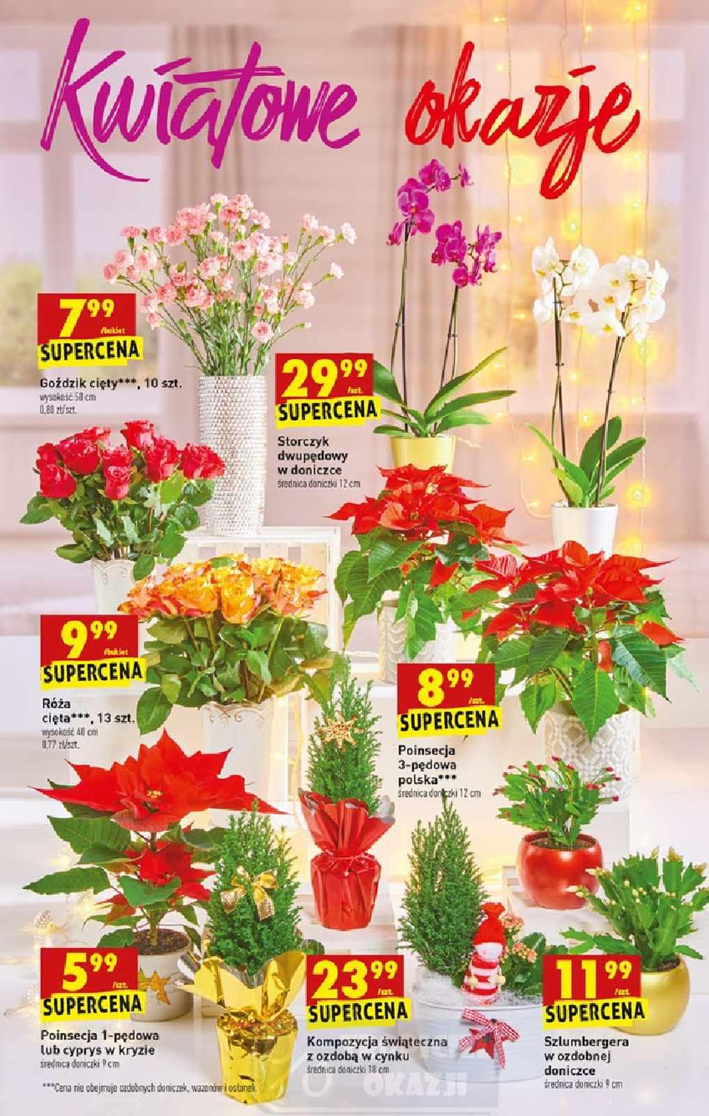 Gazetka promocyjna Biedronka str. 63