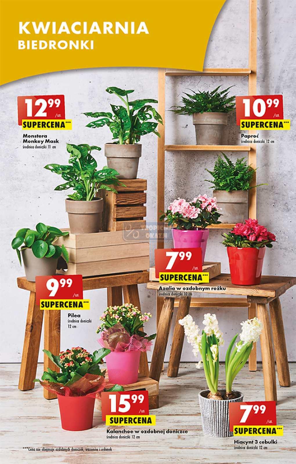 Gazetka promocyjna Biedronka str. 13