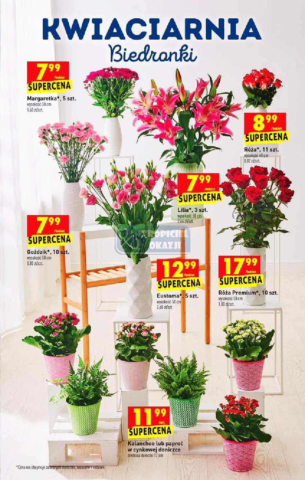 Gazetka promocyjna Biedronka str. 9