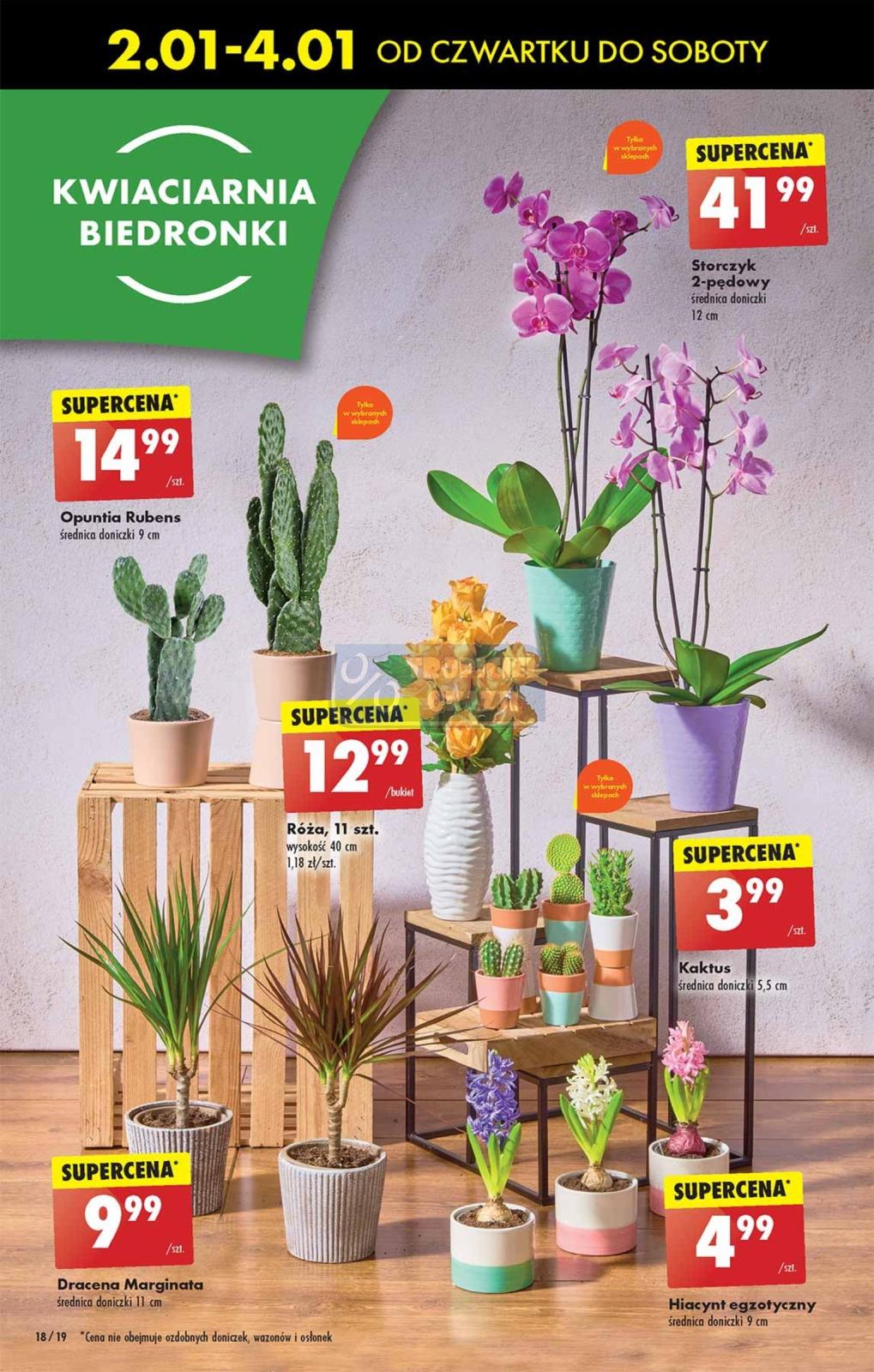 Gazetka promocyjna Biedronka str. 17