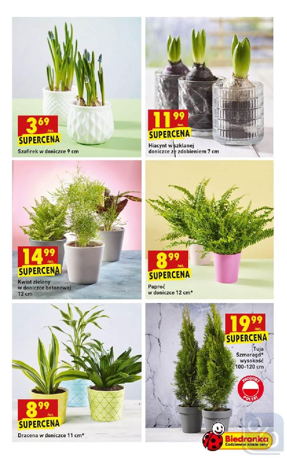 Gazetka promocyjna Biedronka str. 47