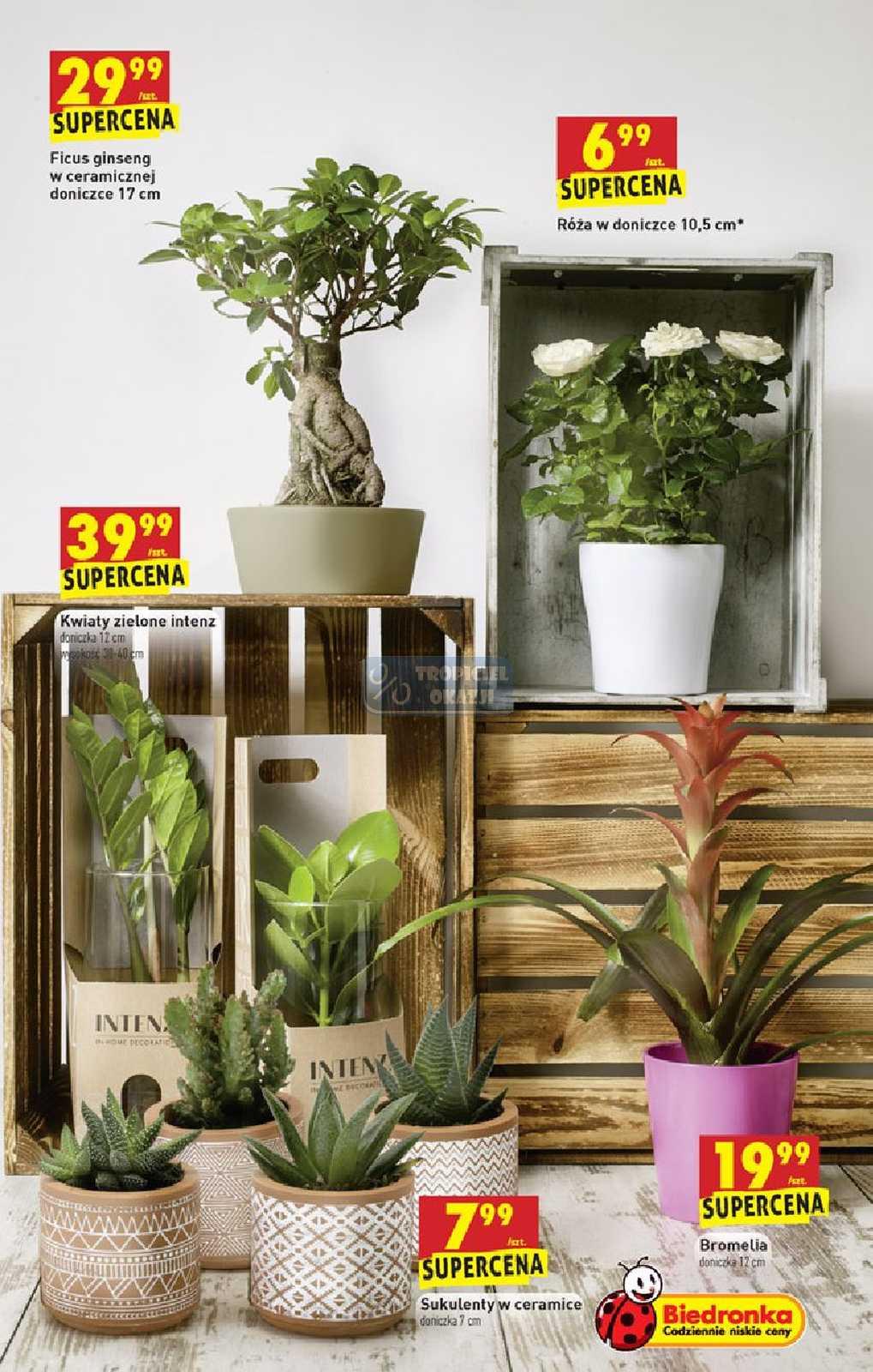 Gazetka promocyjna Biedronka str. 55