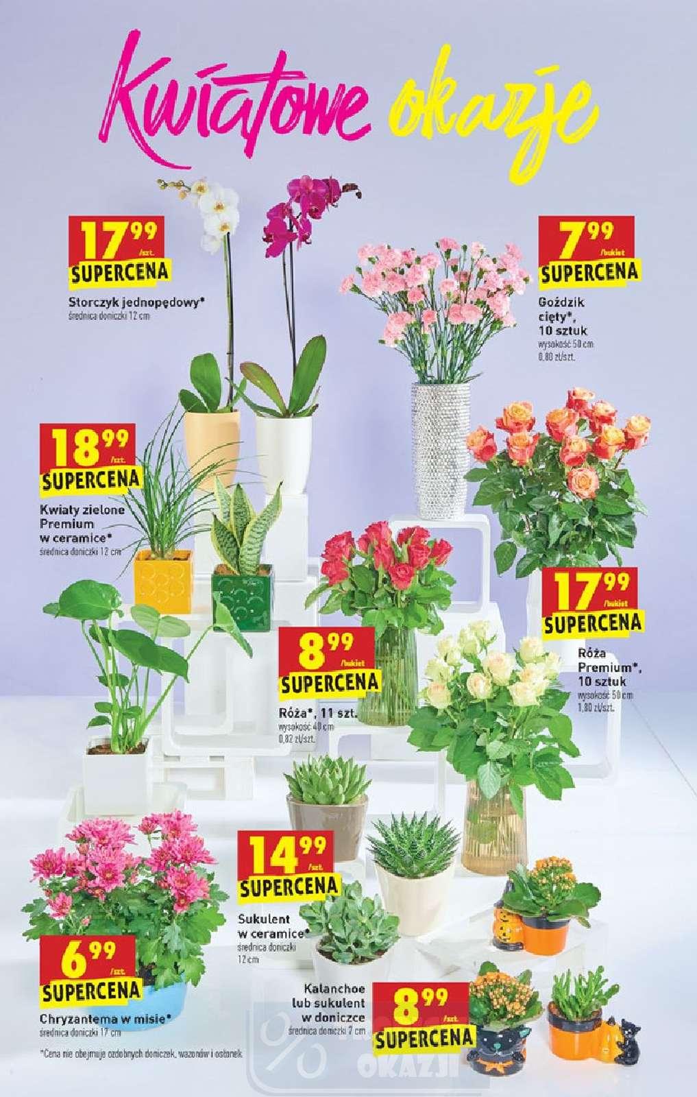 Gazetka promocyjna Biedronka str. 63