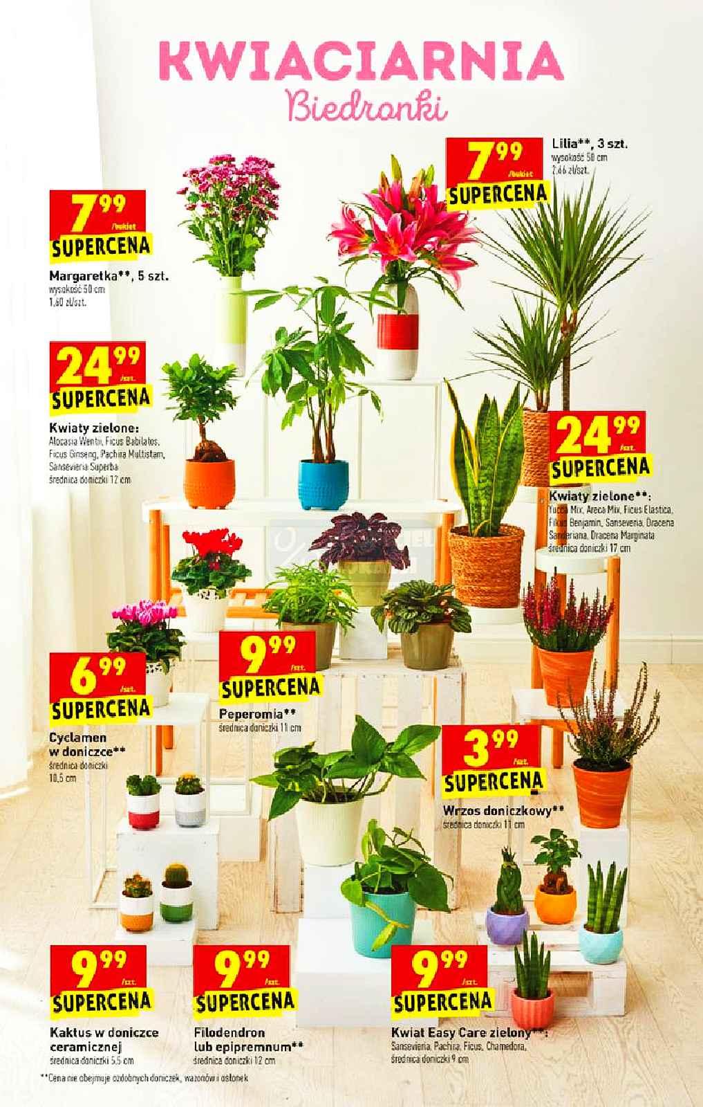 Gazetka promocyjna Biedronka str. 61