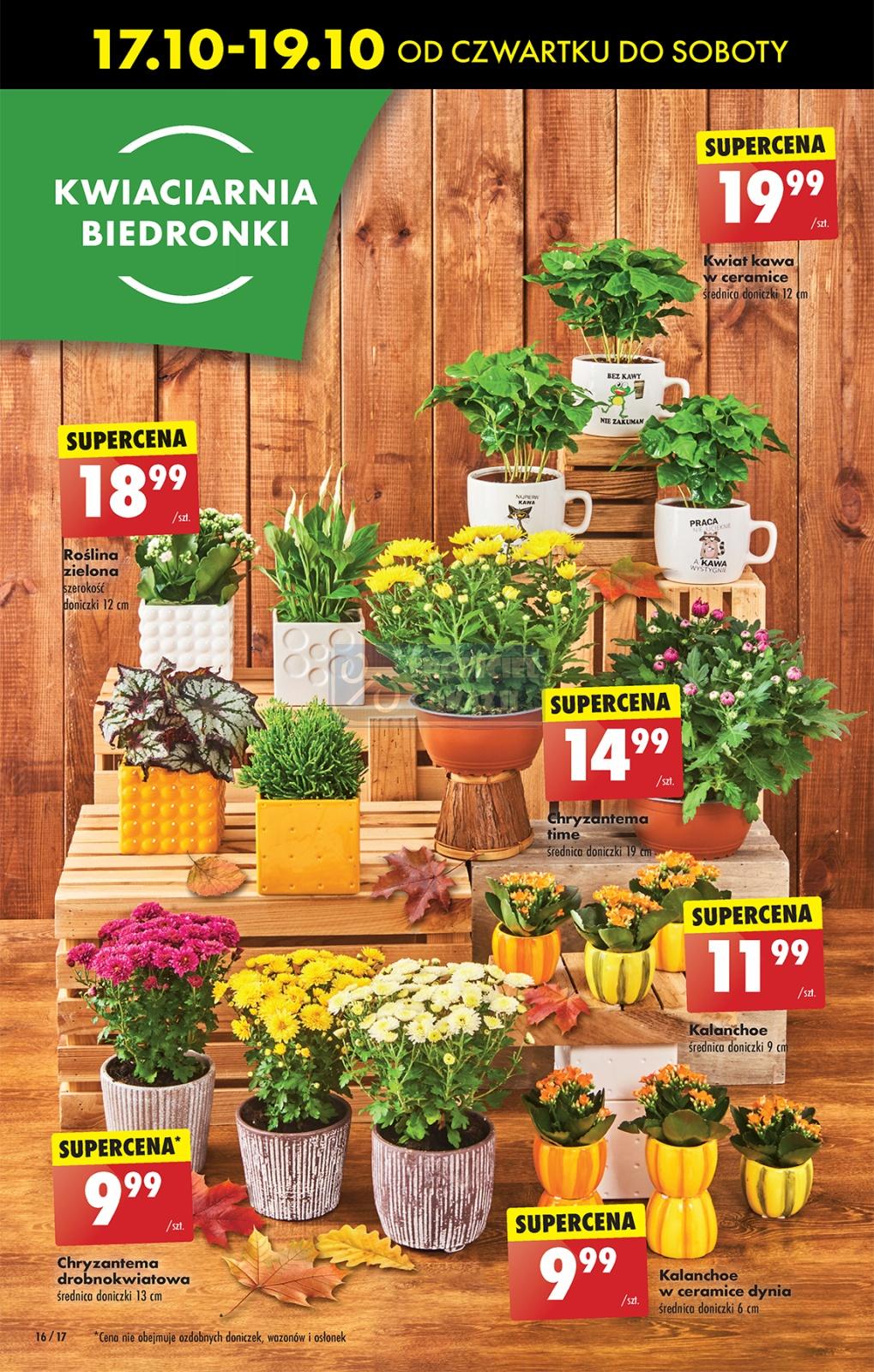 Gazetka promocyjna Biedronka str. 16