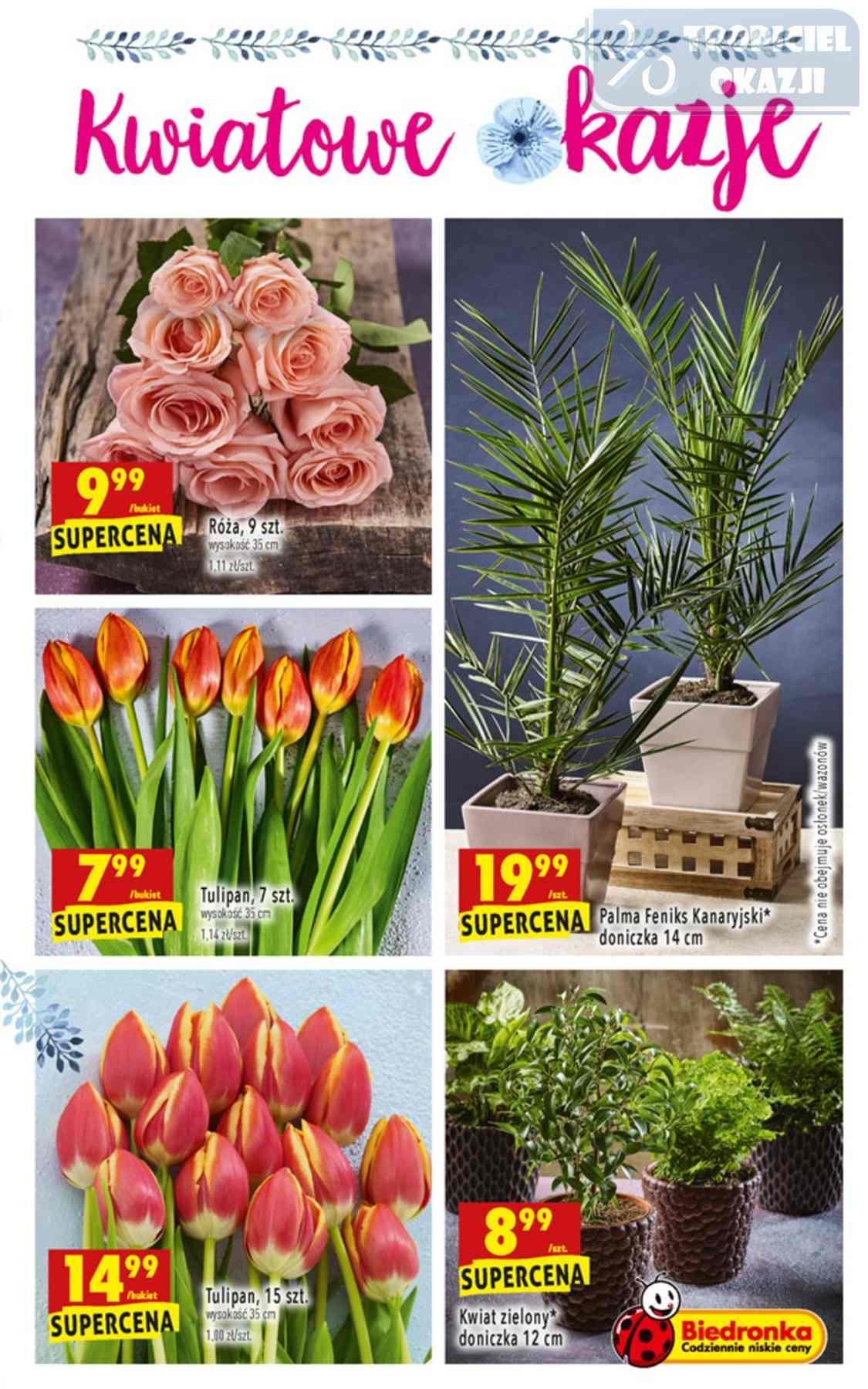 Gazetka promocyjna Biedronka str. 63