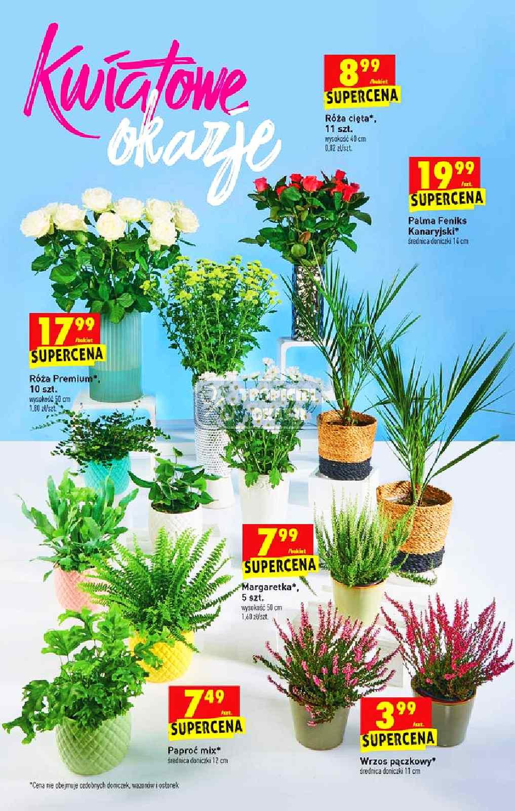 Gazetka promocyjna Biedronka str. 48