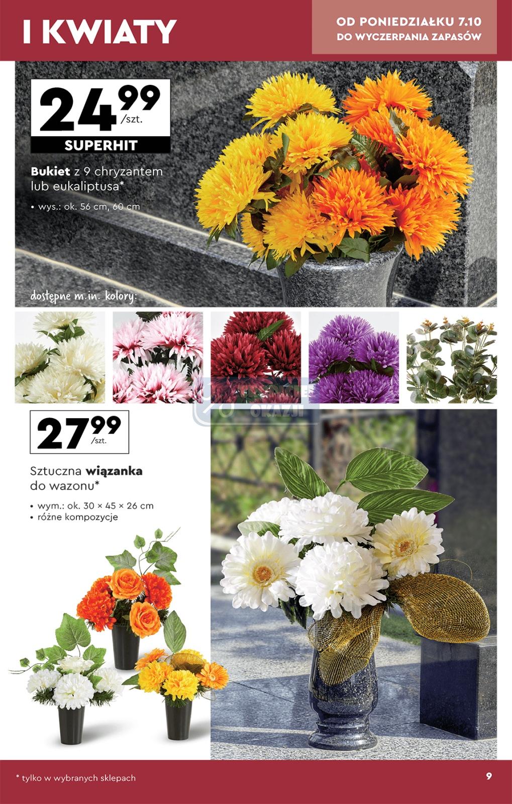 Gazetka promocyjna Biedronka str. 9