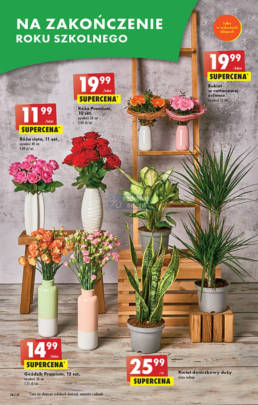 Gazetka promocyjna Biedronka str. 16