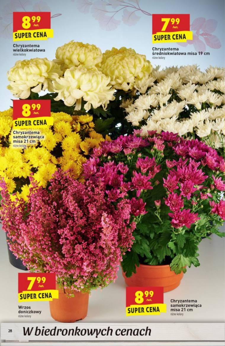 Gazetka promocyjna Biedronka str. 28