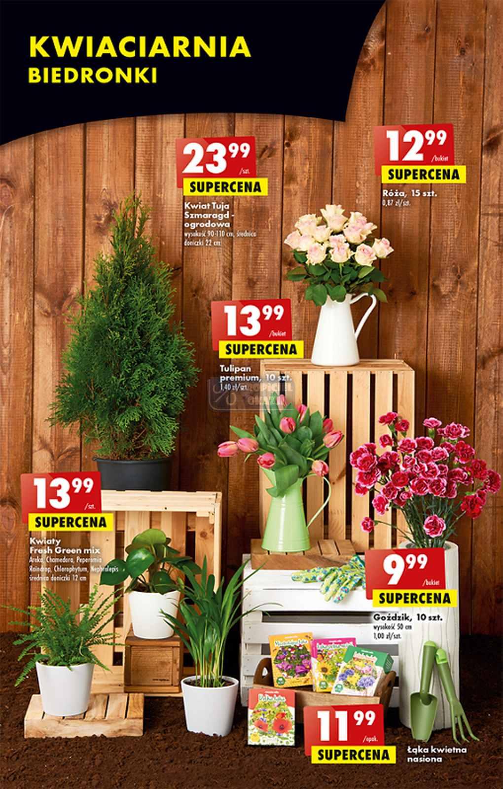 Gazetka promocyjna Biedronka str. 51