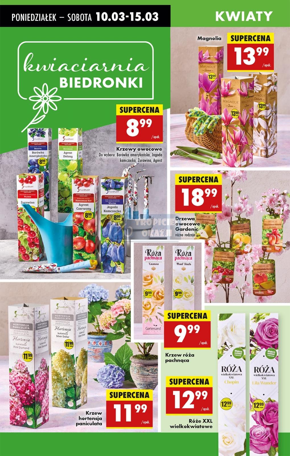 Gazetka promocyjna Biedronka str. 25