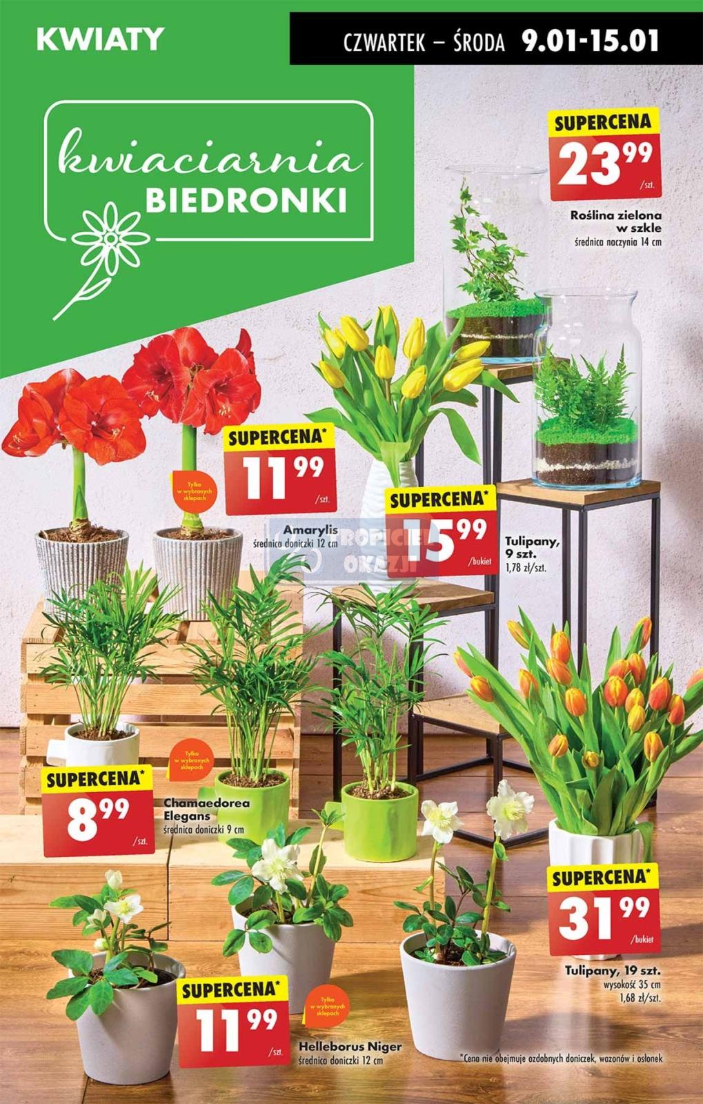 Gazetka promocyjna Biedronka str. 19
