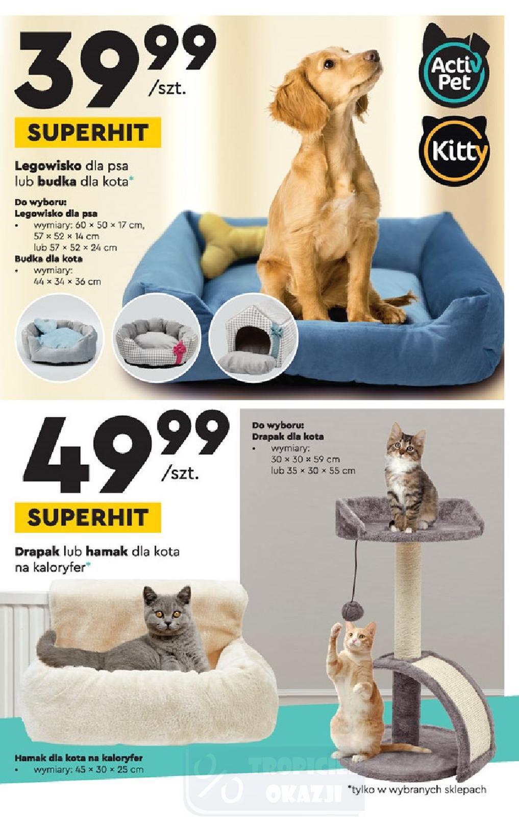 Gazetka promocyjna Biedronka str. 13