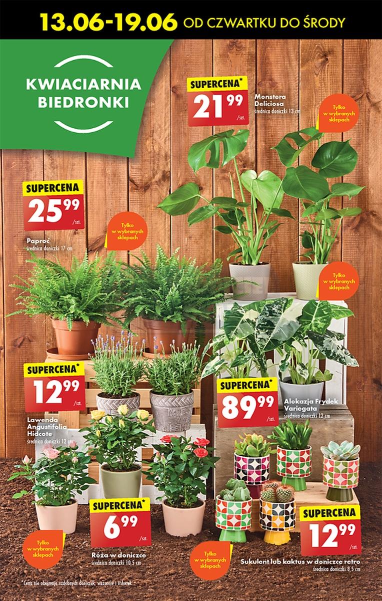 Gazetka promocyjna Biedronka str. 50