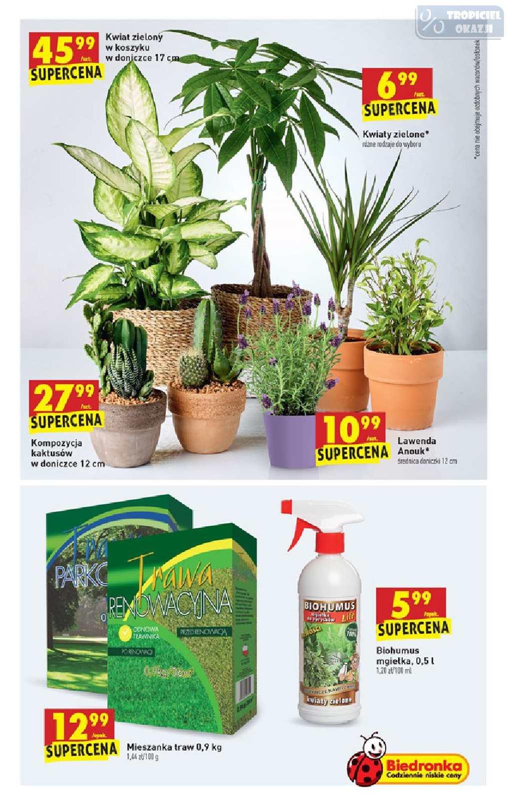 Gazetka promocyjna Biedronka str. 63