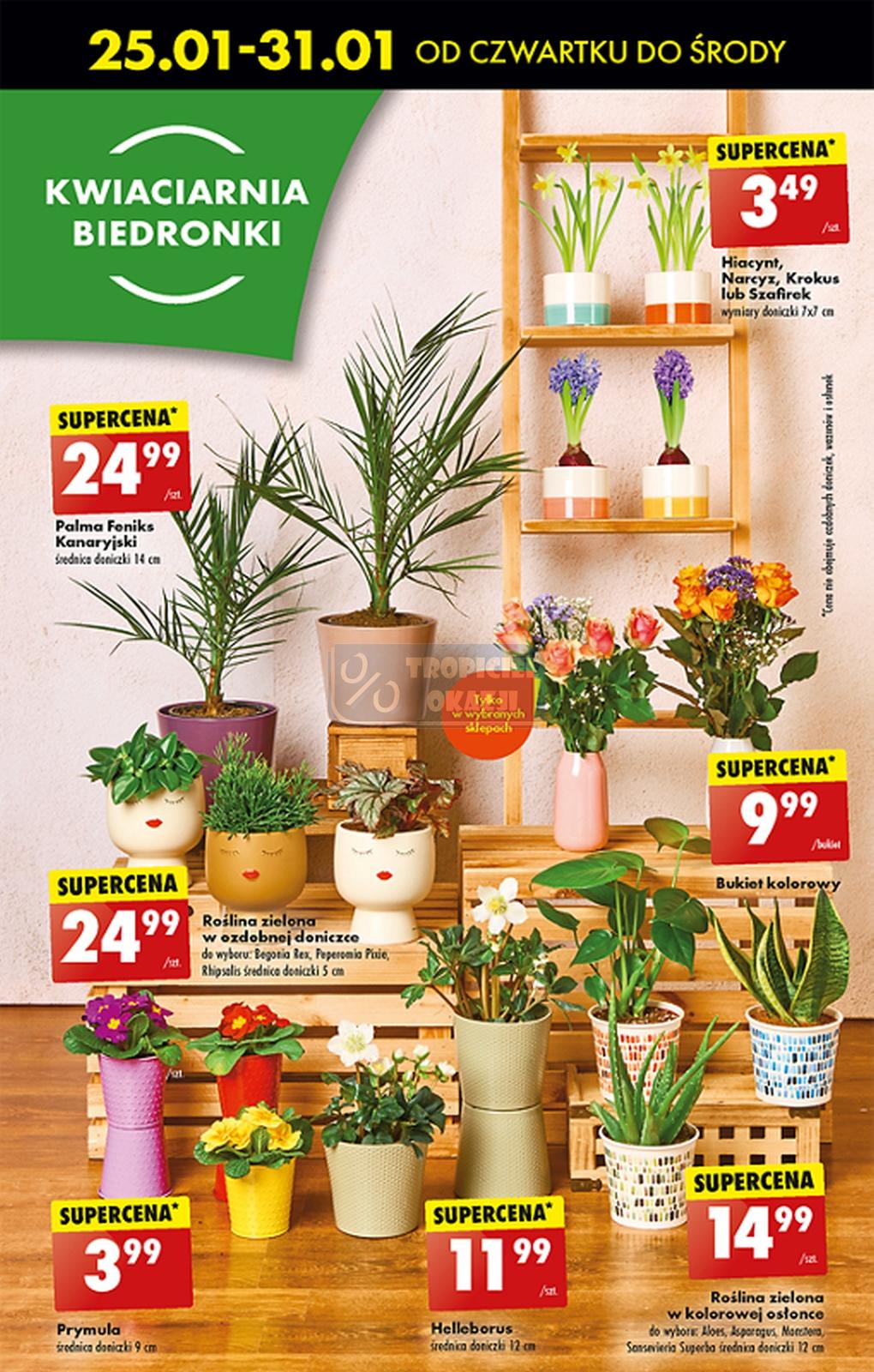 Gazetka promocyjna Biedronka str. 26