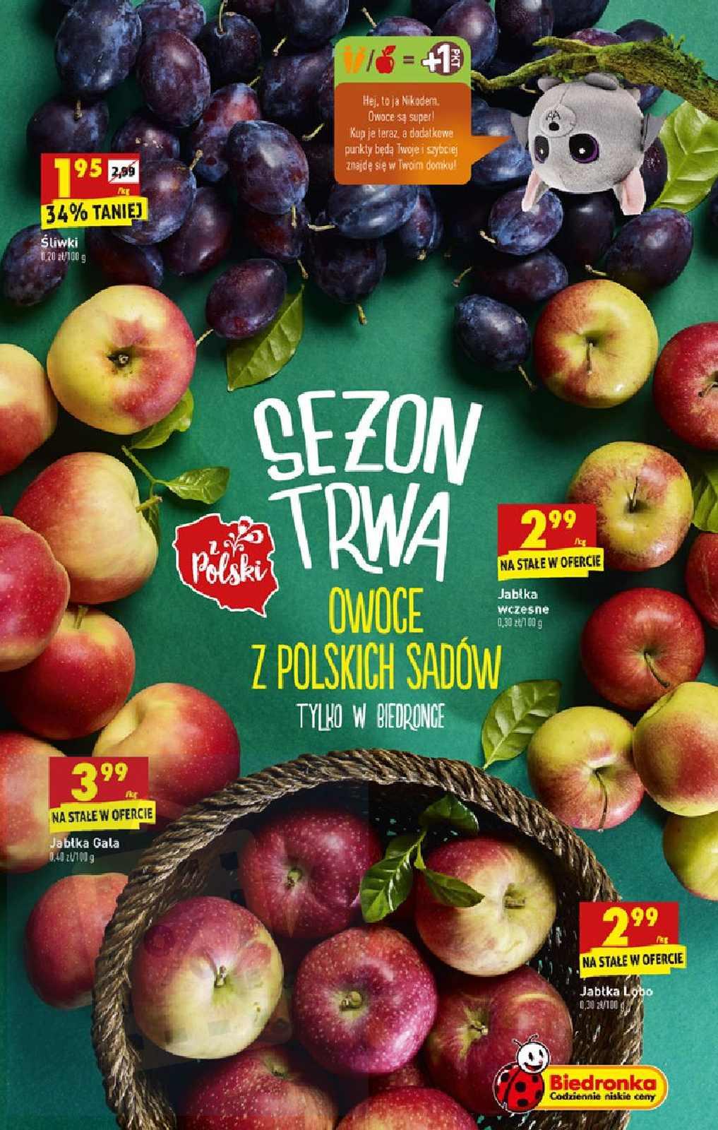 Gazetka promocyjna Biedronka str. 13