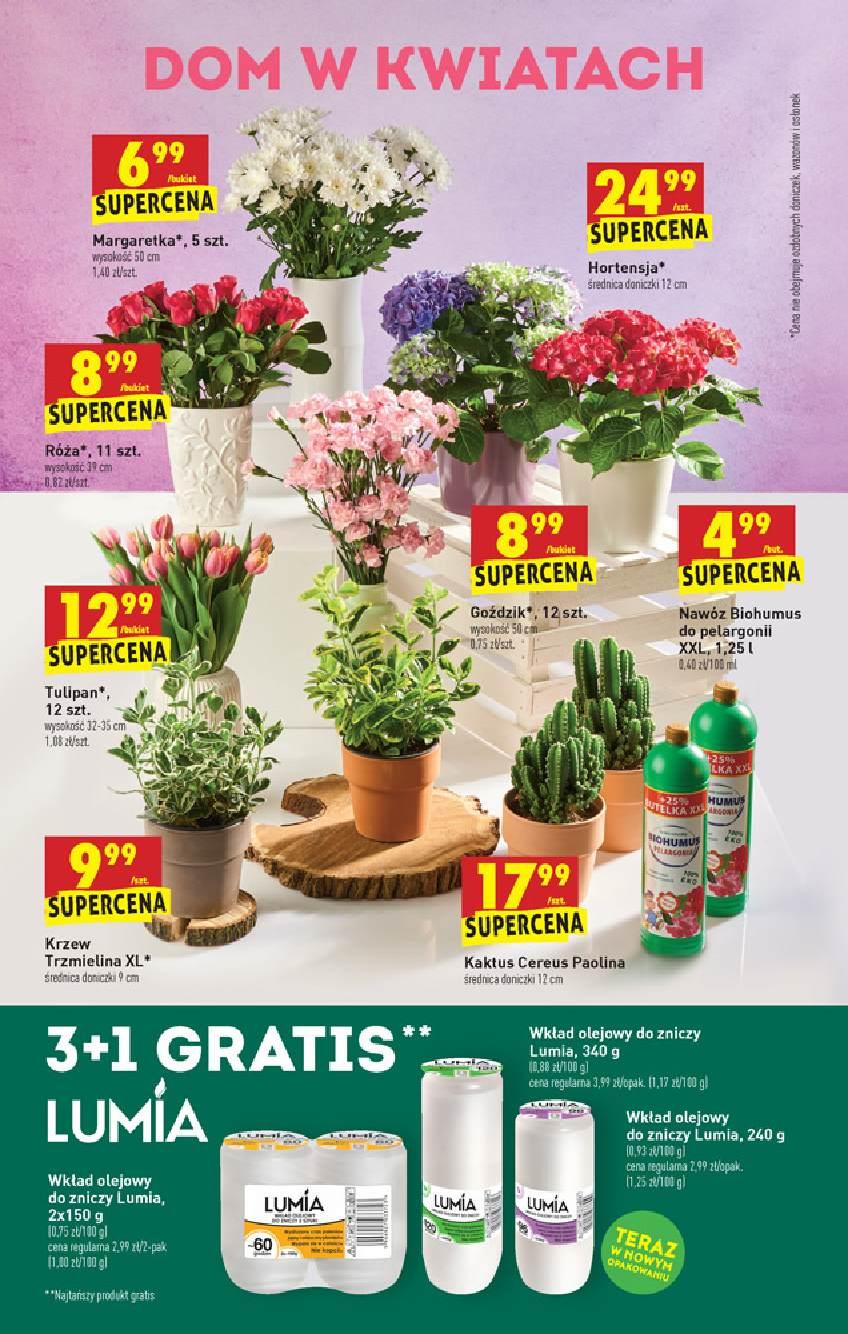 Gazetka promocyjna Biedronka str. 36