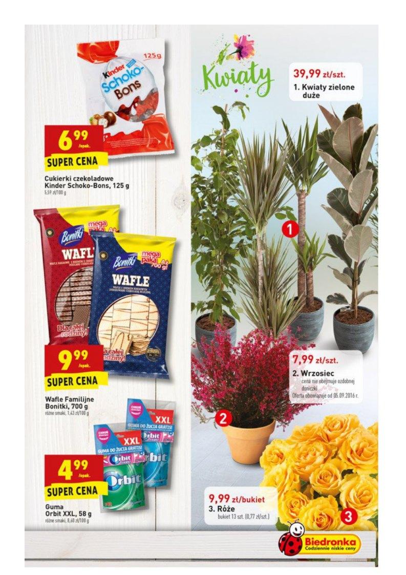 Gazetka promocyjna Biedronka str. 19