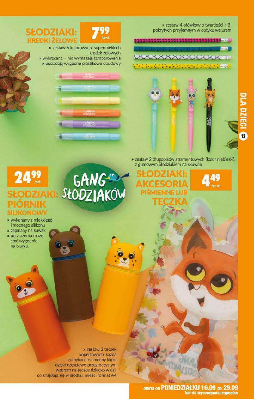 Gazetka promocyjna Biedronka str. 13