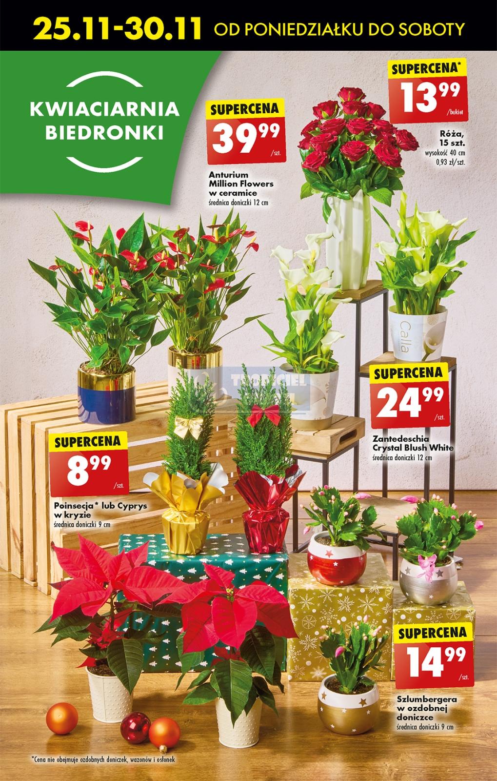 Gazetka promocyjna Biedronka str. 70