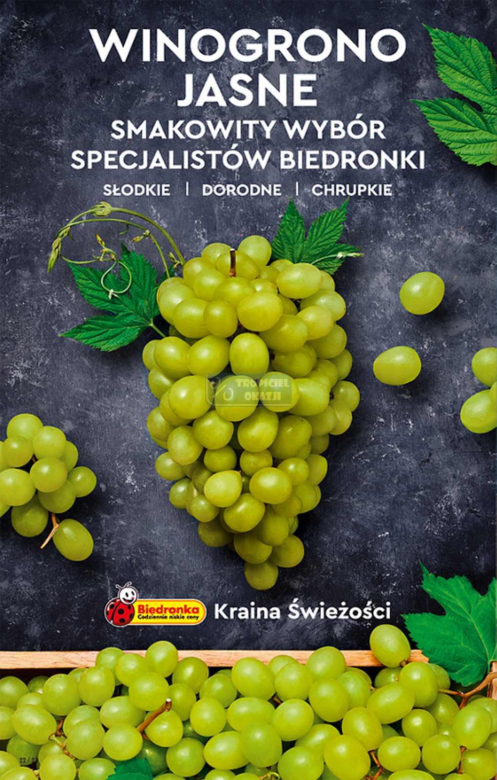 Gazetka promocyjna Biedronka str. 22