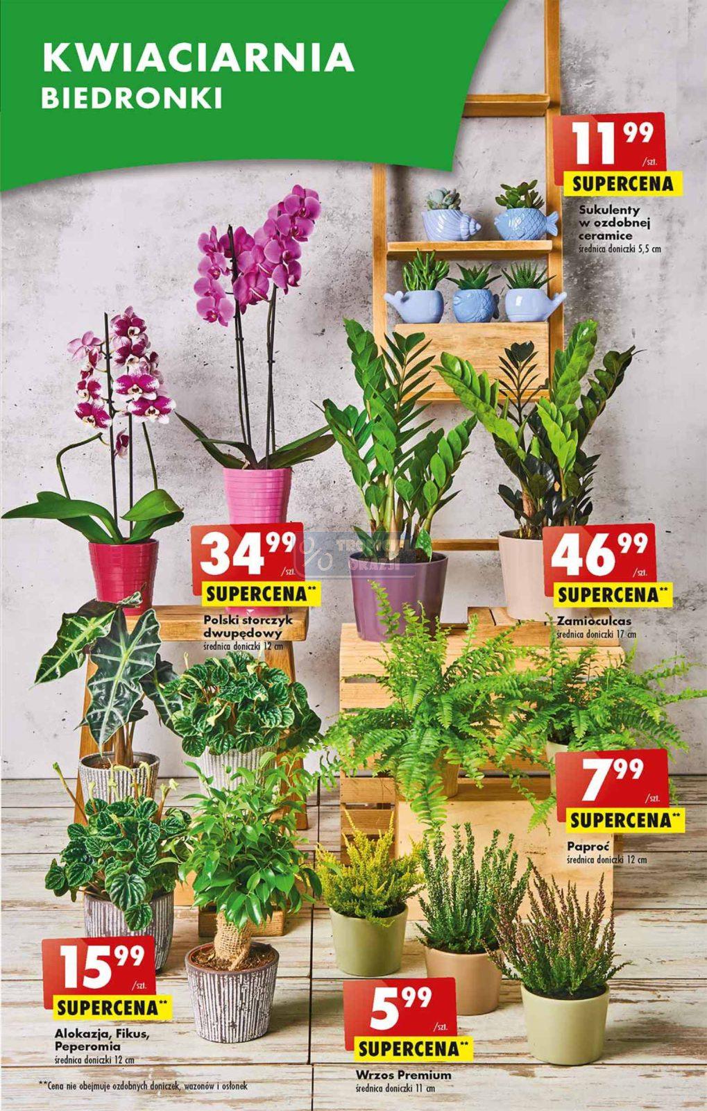 Gazetka promocyjna Biedronka str. 19