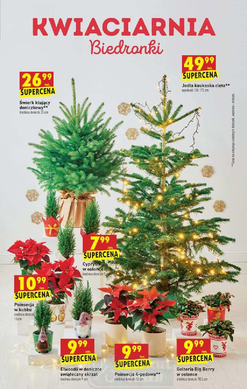 Gazetka promocyjna Biedronka str. 9