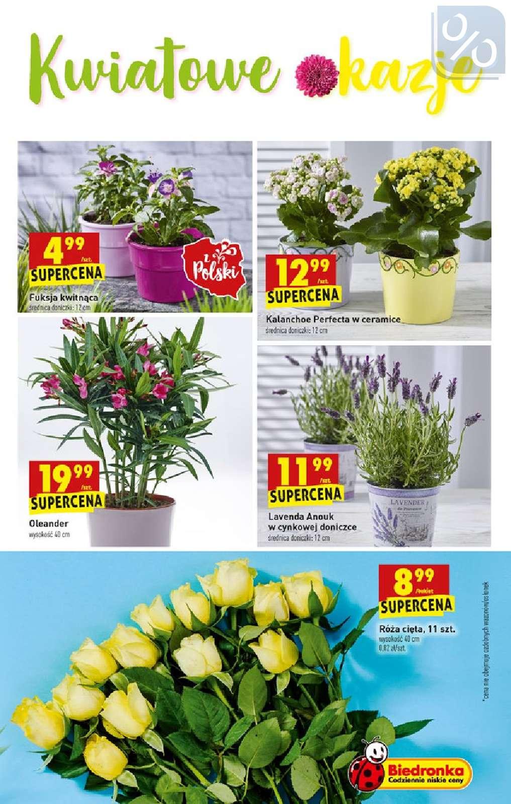 Gazetka promocyjna Biedronka str. 55