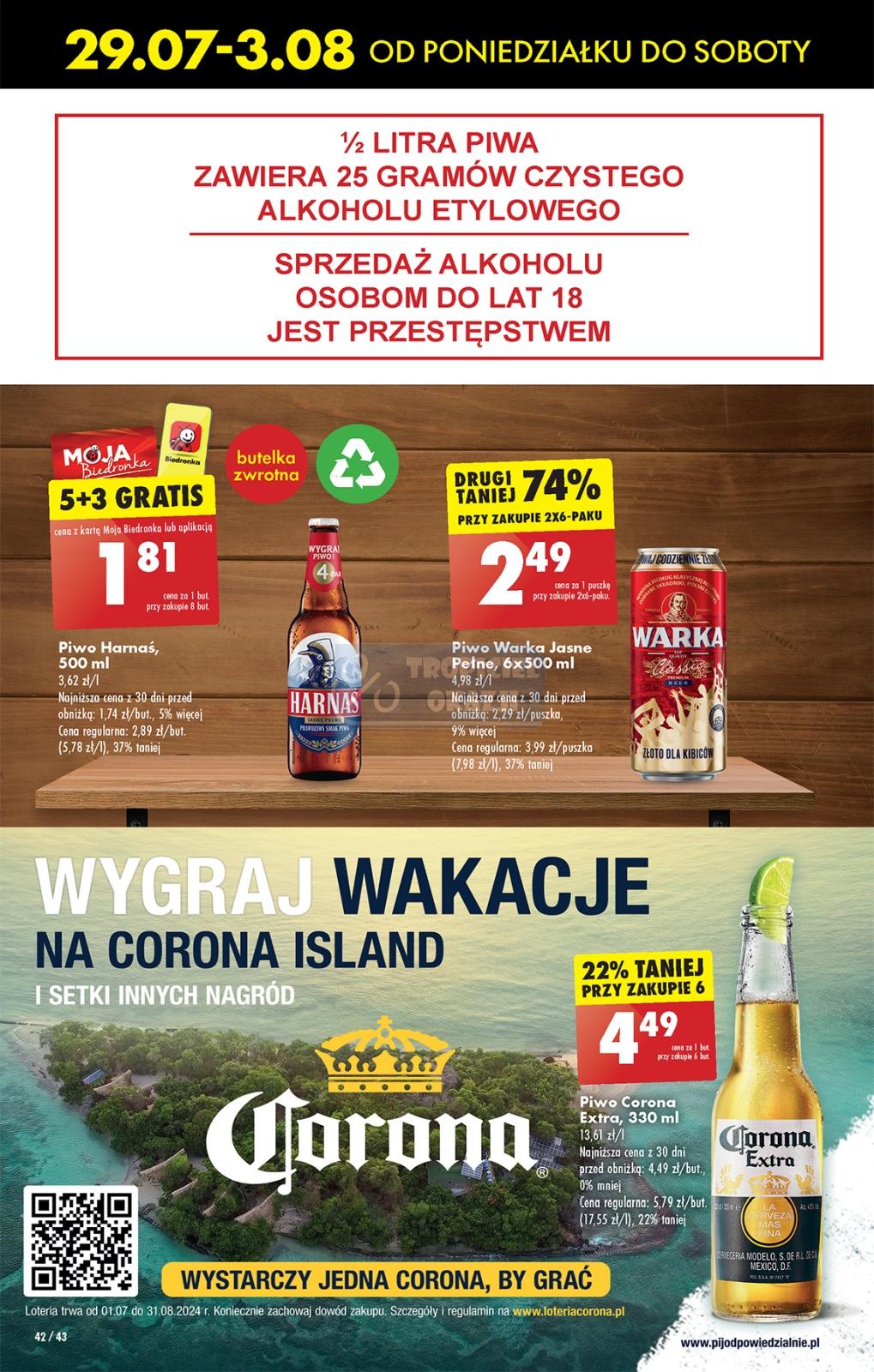 Gazetka promocyjna Biedronka str. 42