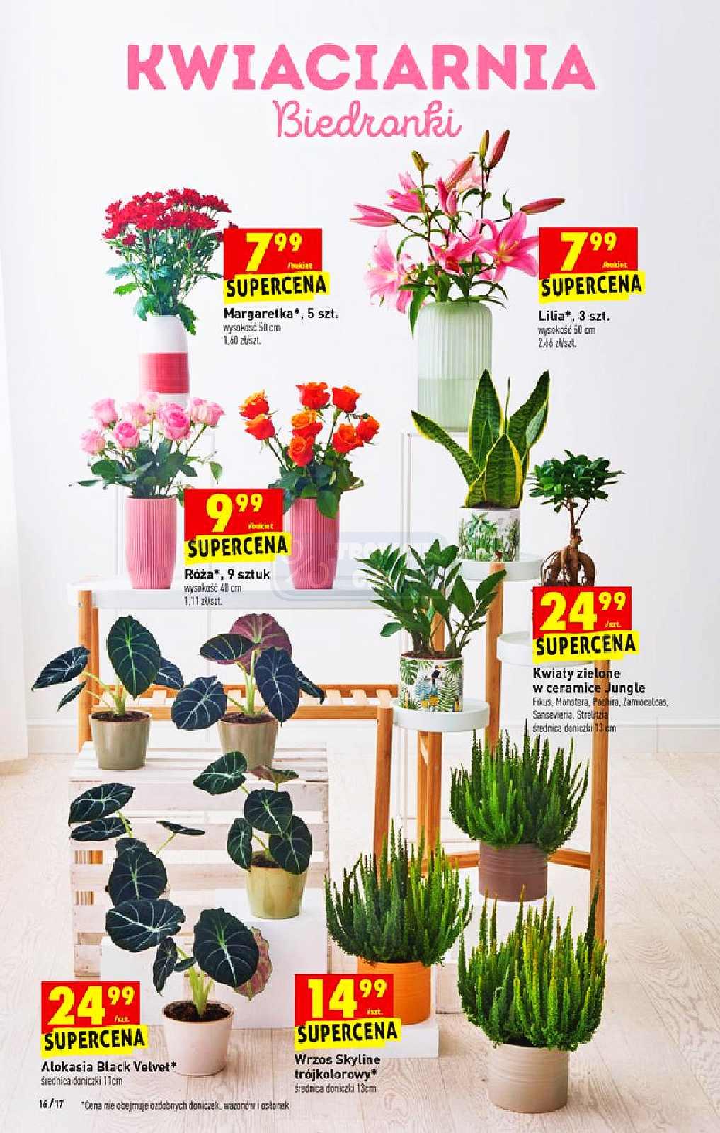 Gazetka promocyjna Biedronka str. 16